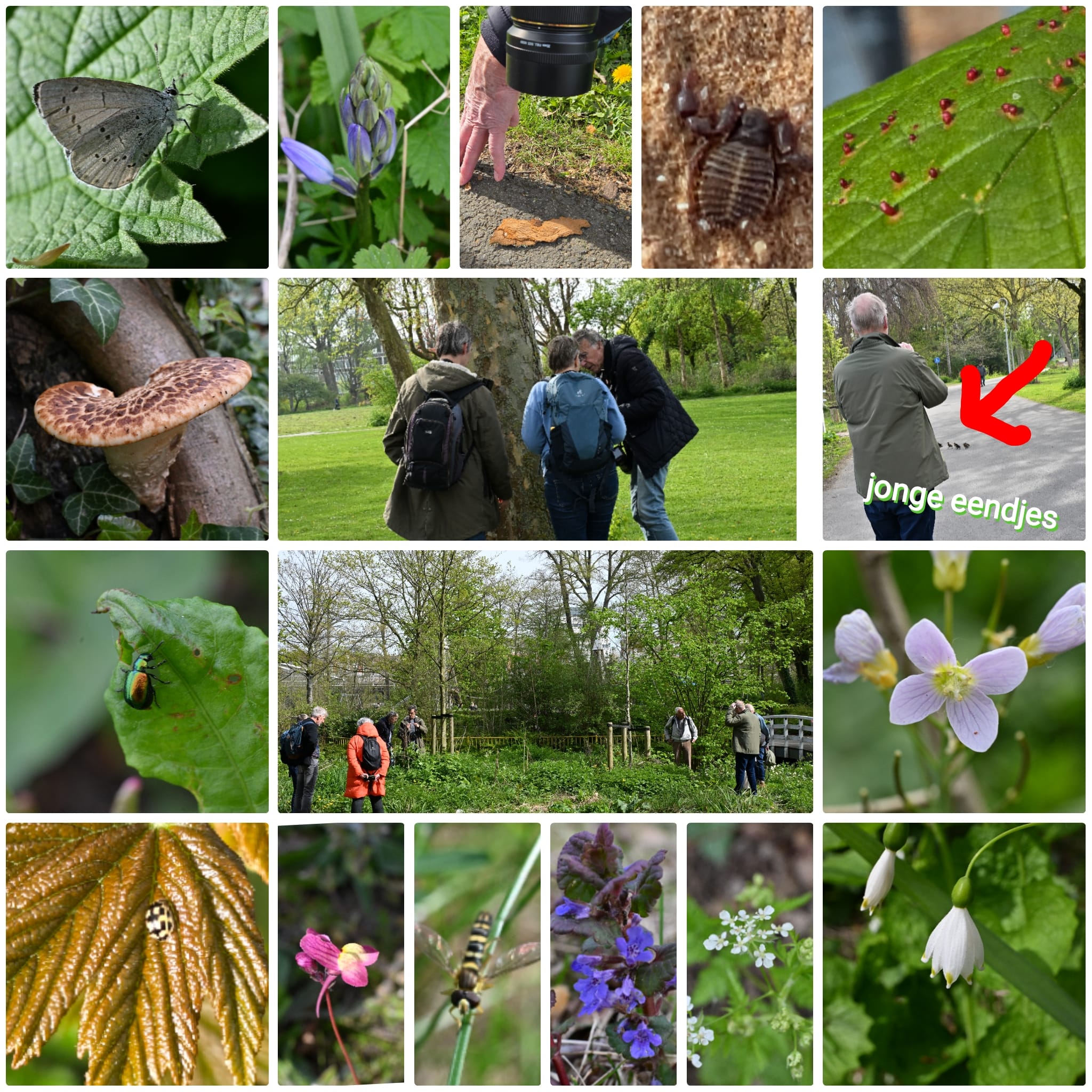Inventarisatie Werkgroep Stadsnatuur