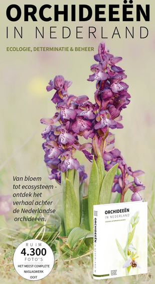 Orchideeën in de Delta beschreven in standaardwerk Orchideeën in Nederland